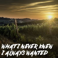 What I Never Knew I Always Wanted - Instrumental cover